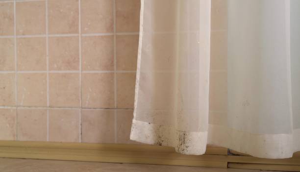 Best Industrial Mold Remediation  in Hanley Hills, MO