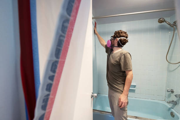 Best Post-Remediation Verification Testing  in Hanley Hills, MO